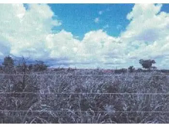 Terrenos e lotes em leilão - rua 10, s/n - várzea grande/mt - banco cooperativo sicoob s.a. | z33732