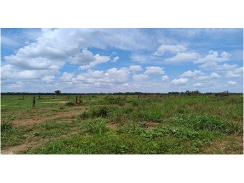 Terrenos e Lotes em leilão - Área Rural Lotes 2B, 4 e 5 do Projeto Fundiário Alto Madeira, s/nº - Porto Velho/RO - Banco Santander Brasil S/A | Z33529