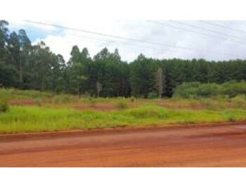 Terrenos e Lotes em leilão - Rua José de França Pereira, s/nº  - Santa Maria do Oeste/PR - Banco Bradesco S/A | Z33748