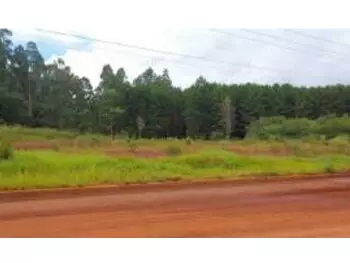 Terrenos e lotes em leilão - rua josé de frança pereira, s/nº - santa maria do oeste/pr - banco bradesco s/a | z33748