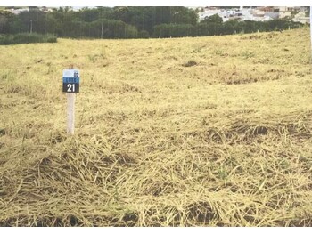 Terrenos e Lotes em leilão - Rua 01, S/n - Dracena/SP - Rodobens Administradora de Consórcios Ltda | Z33761