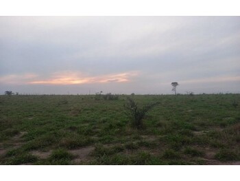 Terrenos e Lotes em leilão - Lote Aliança, S/nº - Itupiranga/PA - COOPERATIVA DE CREDITO, POUPANCA E INVESTIMENTO NORTE MATO-GROSSENSE E OESTE PARAENSE SICREDI GRANDES RIOS MT-PA | Z33905