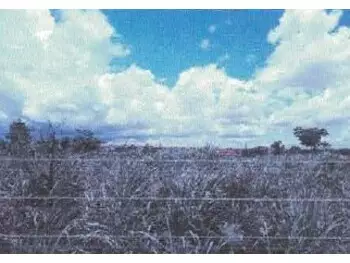 Terrenos e lotes em leilão - rua 10, s/n - várzea grande/mt - banco cooperativo sicoob s.a. | z33732
