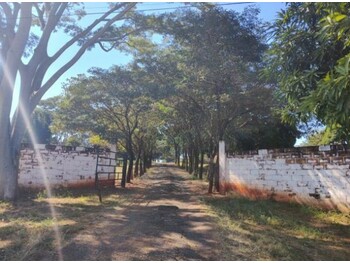Área Rural e Terrenos em leilão - Estância Águeda, S/nº - Onda Verde/SP - Banco Cooperativo Sicoob S.A. | Z33955