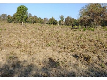 Área Rural e Terrenos em leilão - Estrada Municipal, s/nº - Lagoa da Confusão/TO - Banco Bradesco S/A | Z34137
