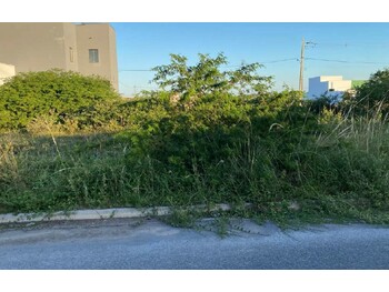 Terrenos e Lotes em leilão - Estrada Vicinal, s/n - Feira de Santana/BA - Banco Bari de Investimentos e Financiamentos S/A | Z34182