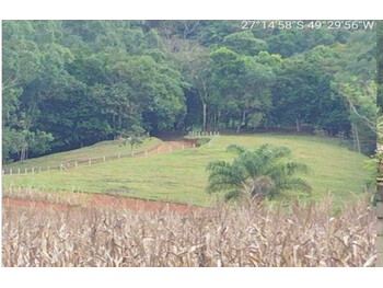 Rurais em leilão - Estrada Vicinal, s/nº - Lontras/SC - Banco Bradesco S/A | Z33982
