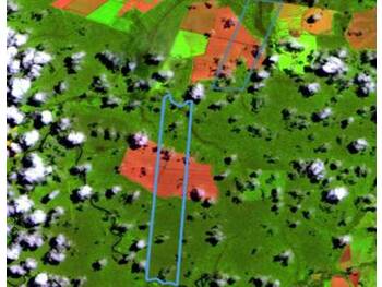 Área Rural e Terrenos em leilão - Gleba Selva Denominada Fazenda Primavera Vii, S/nº - Nova Maringá/MT - Banco Santander Brasil S/A | Z33949