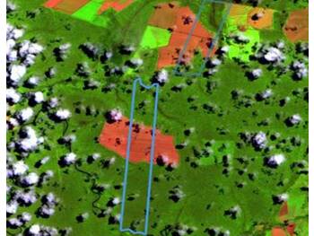 Área Rural e Terrenos em leilão - Fazenda Primavera V, S/nº - Nova Maringá/MT - Banco Santander Brasil S/A | Z33949