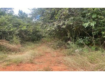 Terrenos e Lotes em leilão - Rua 4, s/n° - Luziânia/GO - Banco Bradesco S/A | Z34040