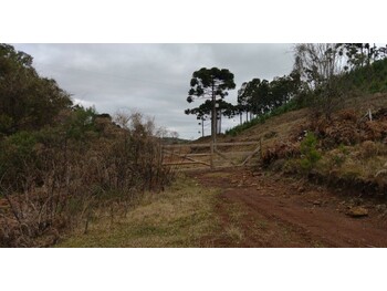 Rurais em leilão - Fazenda Dh Group, S/nº - Capão Alto/SC - AL5 S.A. - CRÉDITO, FINANCIAMENTO E INVESTIMENTO | Z34114