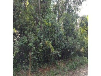 Terrenos e Lotes em leilão - Alameda Itaiutinga, 271 - Brumadinho/MG - Rodobens Administradora de Consórcios Ltda | Z34003