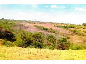 Área Rural e Terrenos em leilão - Fazenda Córrego D´anta, S/nº - Mineiros/GO - Banco Cooperativo Sicoob S.A. | Z34232