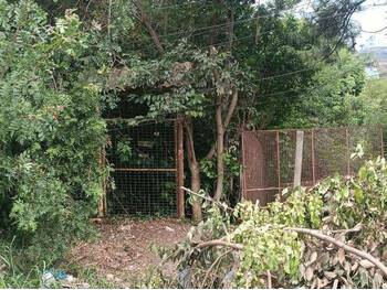 Terrenos e Lotes em leilão - Rua Antônio Vivaldi, 335 - Viamão/RS - Banco Santander Brasil S/A | Z34279