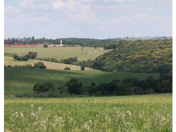 Área Rural e Terrenos em leilão - Fazenda Chácara do Espanhol, s/nº - Itaporanga/SP - Tribunal de Justiça do Estado de São Paulo | Z34484