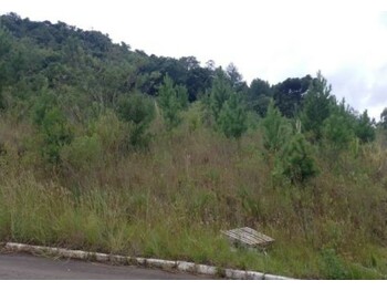 Terrenos e Lotes em leilão - Rua Júlio Carlos Feldens, s/nº - Nova Petrópolis/RS - Itaú Unibanco S/A  | Z34430