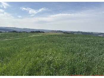Área Rural e Terrenos em leilão - Rio Bonito, s/nº - Turvo/PR - Banco Bradesco S/A | Z34387
