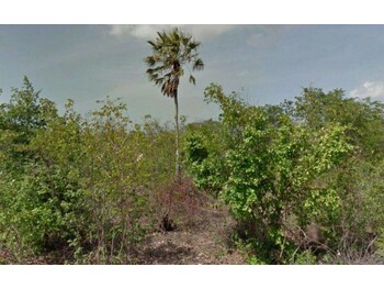 Área Rural e Terrenos em leilão - Sítio Talhadão, s/nº - Caucaia/CE - Tribunal de Justiça do Estado de São Paulo | Z34422
