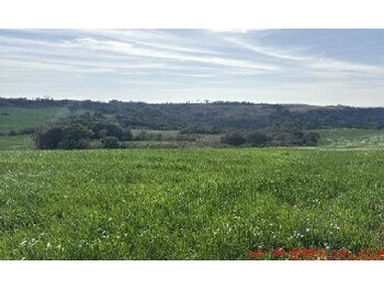 Área Rural e Terrenos em leilão - Rio Bonito, s/nº - Turvo/PR - Banco Bradesco S/A | Z34624