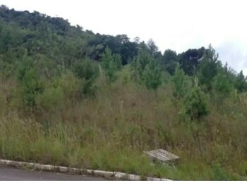 Terreno em leilão - Rua Júlio Carlos Feldens, s/nº - Nova Petrópolis/RS - Itaú Unibanco S/A  | Z34580