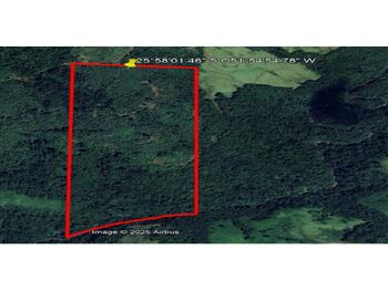 Área Rural em leilão - Estrada Vicinal, s/nº - Pinhão/PR - Banco Bradesco S/A | Z34708