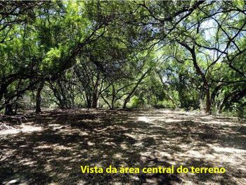 Terreno em leilão - Rua dos Casados, s/nº - Recife/PE - Banco Daycoval S/A | Z34541