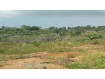 Área Rural e Terrenos em leilão - Fazenda Caratingui , S/nº - Camaçari/BA - Tribunal de Justiça do Estado de São Paulo | Z34729