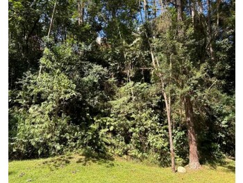 Terrenos e Lotes em leilão - Estrada do Itaqui, 120 - Itapevi/SP - Tribunal de Justiça do Estado de São Paulo | Z34779