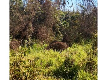 Terreno em leilão - Estrada Vicinal, s/n - Indianópolis/MG - Banco Cooperativo Sicoob S.A. | Z34964