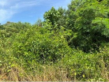 Terrenos e Lotes em leilão - Rua José Fernando Vieira, s/n - Jundiaí/SP - Tribunal de Justiça do Estado de São Paulo | Z35041