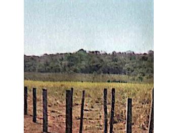 Área Rural e Terrenos em leilão - Br 359, s/nº - Coxim/MS - SICREDI SUDOESTE MT PA | Z35091