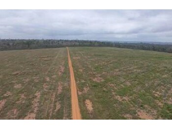 Área Rural e Terrenos em leilão - Estrada do Jacu, s/n - Rondon do Pará/PA - SICREDI SUDOESTE MT PA | Z35120