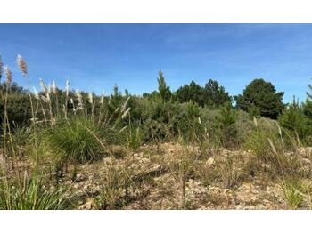 Terreno em leilão - Rua 02, s/nº - Caxias do Sul/RS - Itaú Unibanco S/A  | Z34987