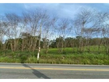 Área Rural em leilão - Avenida Central Ewerton Xavier, S/n - Niterói/RJ - Bank of China | Z35435