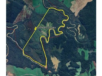 Área Rural em leilão - Estrada Municipal, s/n° - Rio Azul/PR - Banco Bradesco S/A | Z35298