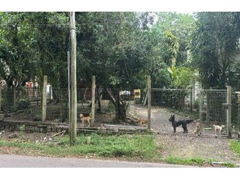 Casa em leilão - Rua Rui Barbosa, 1473 - Guaíba/RS - Itaú Unibanco S/A  | Z35622