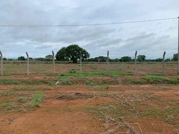 Terrenos e Lotes em leilão - Avenida Porto Rico, s/n - Porto Nacional/TO - Banco Santander Brasil S/A | Z35533