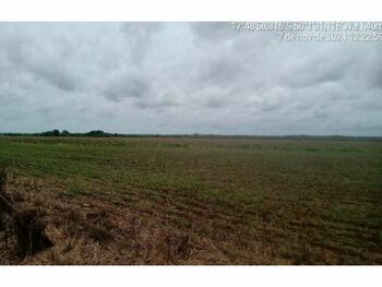 Área Rural e Terrenos em leilão - Fazenda Paraiso, s/nº - Goiatuba/GO - Banco Original S/A | Z35482