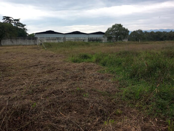 Terrenos e Lotes em leilão - Rua Oitis, S/N - Duque de Caxias/RJ - Banco Cooperativo Sicoob S.A. | Z35548