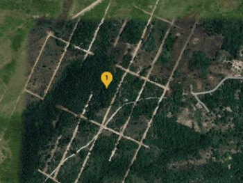 Terreno em leilão - Rua Flor Luciana, S/N - Salinas da Margarida/BA - Banco Cooperativo Sicoob S.A. | Z35559