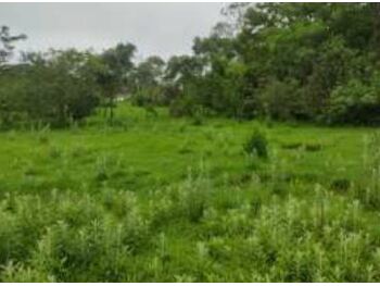 Terreno em leilão - Rua 07, s/nº - Cidade Ocidental/GO - Banco Daycoval S/A | Z35649