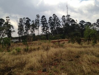 Terreno em leilão - Rua Mauro Farias, s/n - Araguari/MG - Banco Cooperativo Sicoob S.A. | Z35543