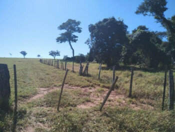 Chácaras em leilão - Sítio Recanto Tropical, S/N - Ribeirão Bonito/SP - Banco Cooperativo Sicoob S.A. | Z35548