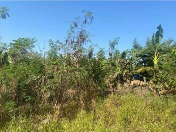 Terrenos e Lotes em leilão - Rua Brasílio Ferraz, s/n - Capivari/SP - Tribunal de Justiça do Estado de São Paulo | Z35721