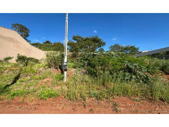 Terrenos e Lotes em leilão - Avenida Barão do Rio Branco, 1470 - Cornélio Procópio/PR - Banco Bradesco S/A | Z35851