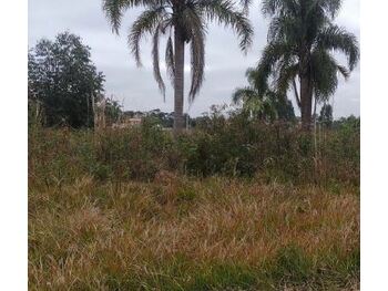 Terrenos e Lotes em leilão -  Br 476, S/n - São Mateus do Sul/PR - Tribunal de Justiça do Paraná | Z35808