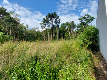 Terrenos e Lotes em leilão - Rua do Brinco-De-Princesa, s/n - Nova Petrópolis/RS - Banco Cooperativo Sicoob S.A. | Z35935