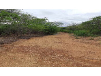 Área Rural em leilão - Estrada Vicinal, s/nº - Pedras de Maria da Cruz/MG - Banco Bradesco S/A | Z35825