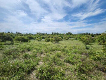 Terrenos e Lotes em leilão - Estrada Vicinal, s/n - Aracaju/SE - BANESE - Banco do Estado de Sergipe S/A | Z35844