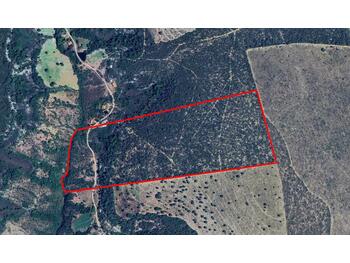 Área Rural e Terrenos em leilão - Rodovia Lmg-698 (Empiçarrada), s/nº - João Pinheiro/MG - Banco Bradesco S/A | Z35524